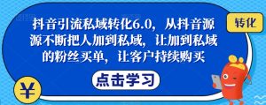 抖音引流私域转化6.0，从抖音源源不断把人加到私域，让加到私域的粉丝买单，让客户持续购买-比钱轻创