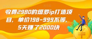收费2980的塔罗ip打造项目，单价198-999不等，5天赚了2000块【揭秘】-比钱轻创