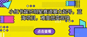 外面收费2980的视频号流量主项目,作品制作简单无脑,单账号日入过千-比钱轻创