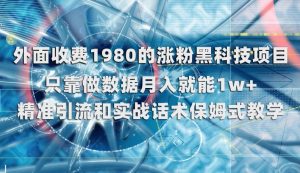 外面收费1980的涨粉黑科技项目，只靠做数据月入就能1w+【揭秘】-比钱轻创