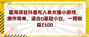 蓝海项目抖音无人美女播小游戏，操作简单，适合0基础小白，一周收益2500【揭秘】-比钱轻创