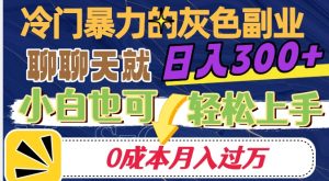 冷门暴利的副业项目，聊聊天就能日入300+，0成本月入过万【揭秘】-比钱轻创