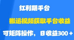 搬运视频获取平台收益，平台红利期，附保姆级教程【揭秘】-比钱轻创
