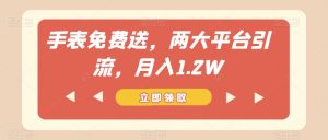 手表免费送，两大平台引流，月入1.2W【揭秘】-比钱轻创