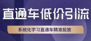 直通车低价引流课，系统化学习直通车精准投放-比钱轻创