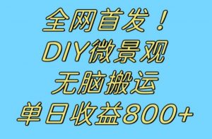 全网首发冷门赛道！DIY微景观，无脑搬运视频，日收益800+【揭秘】-比钱轻创