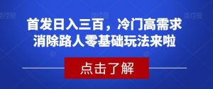 首发日入三百，冷门高需求消除路人零基础玩法来啦【揭秘】-比钱轻创
