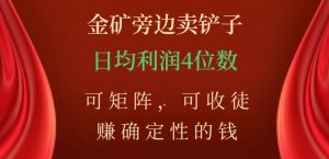 金矿旁边卖铲子，赚确定性的钱，可矩阵，可收徒，日均利润4位数【揭秘】-比钱轻创