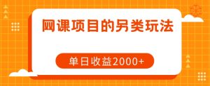 网课项目的另类玩法，单日收益2000+【揭秘】-比钱轻创
