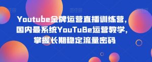 Youtube金牌运营直播训练营，国内最系统YouTuBe运营教学，掌握长期稳定流量密码-比钱轻创