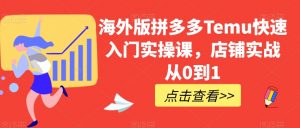 海外版拼多多Temu快速入门实操课，店铺实战从0到1-比钱轻创