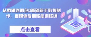 从剪辑到调色0基础新手影视制作,自媒体后期核心训练课-比钱轻创