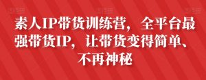 素人IP带货训练营,全平台最强带货IP,让带货变得简单、不再神秘-比钱轻创