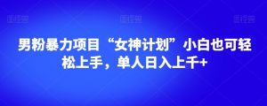 男粉暴力项目“女神计划”小白也可轻松上手，单人日入上千+【揭秘】-比钱轻创
