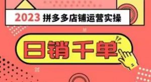 2023拼多多运营实操,每天30分钟日销1000+,爆款选品技巧大全(10节课)-比钱轻创