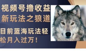 视频号撸收益新玩法之狼道，目前蓝海玩法，轻松月入过万【揭秘】-比钱轻创