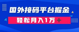 通过国外接码平台掘金：成本1.3，利润10＋，轻松月入1万＋【揭秘】-比钱轻创