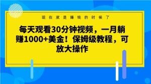 每天观看30分钟视频，一月躺赚1000+美金！保姆级教程，可放大操作【揭秘】-比钱轻创
