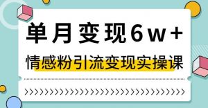 单月变现6W+，抖音情感粉引流变现实操课，小白可做，轻松上手，独家赛道【揭秘】-比钱轻创