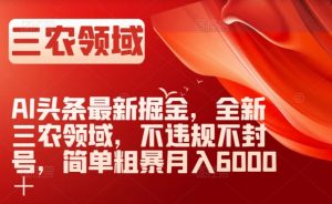AI头条最新掘金，全新三农领域，不违规不封号，简单粗暴月入6000＋【揭秘】-比钱轻创
