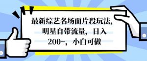 最新综艺名场面片段玩法，明星自带流量，日入200+，小白可做【揭秘】-比钱轻创