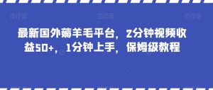 最新国外薅羊毛平台，2分钟视频收益50+，1分钟上手，保姆级教程【揭秘】-比钱轻创