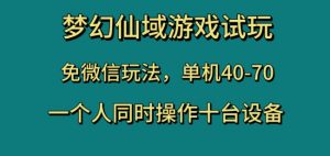 梦幻仙域游戏试玩,免微信玩法,单机40-70,一个人同时操作十台设备【揭秘】-比钱轻创