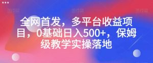 全网首发，多平台收益项目，0基础日入500+，保姆级教学实操落地【揭秘】-比钱轻创