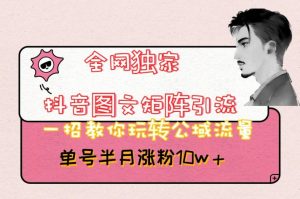 全网独家抖音图文矩阵引流，一招教你玩转公域流量，单号半月涨粉10w+【揭秘】-比钱轻创