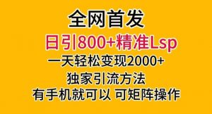 全网首发！日引800+精准老色批，一天变现2000+，独家引流方法，可矩阵操作【揭秘】-比钱轻创