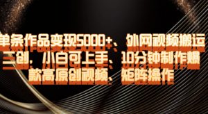 单条作品变现5000+、外网视频搬运二创，小白可上手，10分钟制作爆款高原创视频，矩阵操作【揭秘】-比钱轻创
