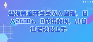 蓝海赛道拼多多无人直播，日入2600+，0成本变现，小白也能轻松上手【揭秘】-比钱轻创