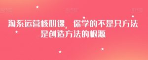 淘系运营核心课,你学的不是只方法是创造方法的根源-比钱轻创