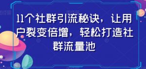 11个社群引流秘诀，让用户裂变倍增，轻松打造社群流量池-比钱轻创
