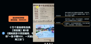 十万个富翁修炼宝典之5.揭秘旅游卡项目骗局，号称“一张卡赚500，一天能卖两三张”-比钱轻创