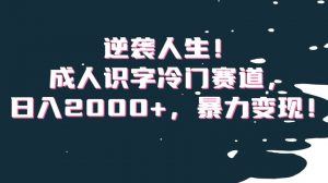逆袭人生！成人识字冷门赛道，日入2000+，暴力变现！【揭秘】-比钱轻创