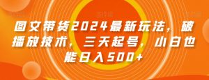 图文带货2024最新玩法，破播放技术，三天起号，小白也能日入500+【揭秘】-比钱轻创