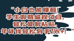 小白也能赚翻!学生假期编程项目,轻松复制粘贴,年货钱轻松到手2W+【揭秘】-比钱轻创