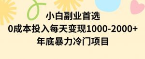 小白副业首选，0成本投入，每天变现1000-2000年底暴力冷门项目【揭秘】-比钱轻创