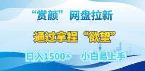 “赏颜”网盘拉新赛道,通过拿捏“欲望”日入1500+,小白易上手【揭秘】-比钱轻创
