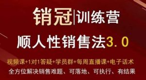 爆款!销冠训练营3.0之顺人性销售法,全方位解决销售难题、可落地、可执行、有结果-比钱轻创