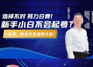 大左教您从0到1做直播带货，选择不对，努力白费，5小时课程搞定那点事，解决你起号问题-比钱轻创