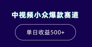 中视频小众爆款赛道，7天涨粉5万+，小白也能无脑操作，轻松月入上万【揭秘】-比钱轻创
