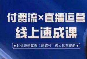 视频号付费流实操课程，付费流✖️直播运营速成课，让你快速掌握视频号核心运营技能-比钱轻创