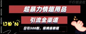 最新情趣项目引流全渠道,自带高流量,保姆级教程,轻松破百单,日引500+粉【揭秘】-比钱轻创