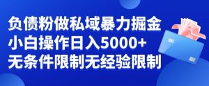 负债粉私域暴力掘金，小白操作入5000，无经验限制，无条件限制【揭秘】-比钱轻创