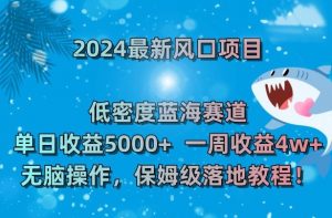 2024最新风口项目，低密度蓝海赛道，单日收益5000+，一周收益4w+！【揭秘】-比钱轻创
