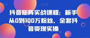抖音矩阵实战课程:新手从0到100万粉丝,全套抖音变现实操-比钱轻创