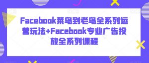 Facebook菜鸟到老鸟全系列运营玩法+Facebook专业广告投放全系列课程-比钱轻创