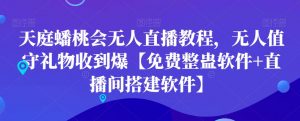 天庭蟠桃会无人直播教程，无人值守礼物收到爆【免费整蛊软件+直播间搭建软件】-比钱轻创